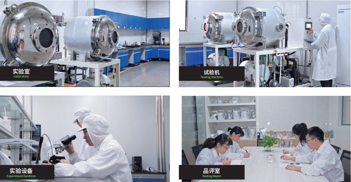 QC Laboratory